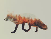 Load image into Gallery viewer, The Fox