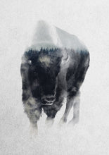 Load image into Gallery viewer, Bison In Mist