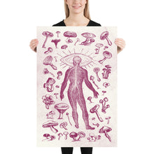 Load image into Gallery viewer, Mushrooms