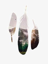 Load image into Gallery viewer, Feathers