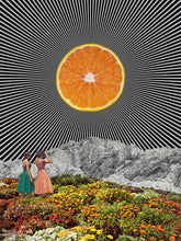 Load image into Gallery viewer, Orange