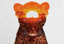 Load image into Gallery viewer, Leopard Cub