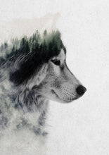 Load image into Gallery viewer, Wolf Stare
