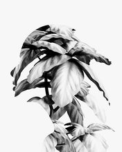 Load image into Gallery viewer, Mend