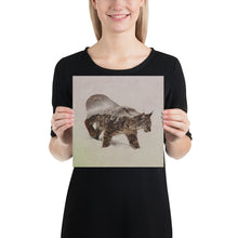 Load image into Gallery viewer, Lynx