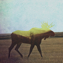 Load image into Gallery viewer, Moose