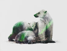 Load image into Gallery viewer, Polar Bears