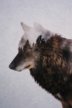 Load image into Gallery viewer, Wolf